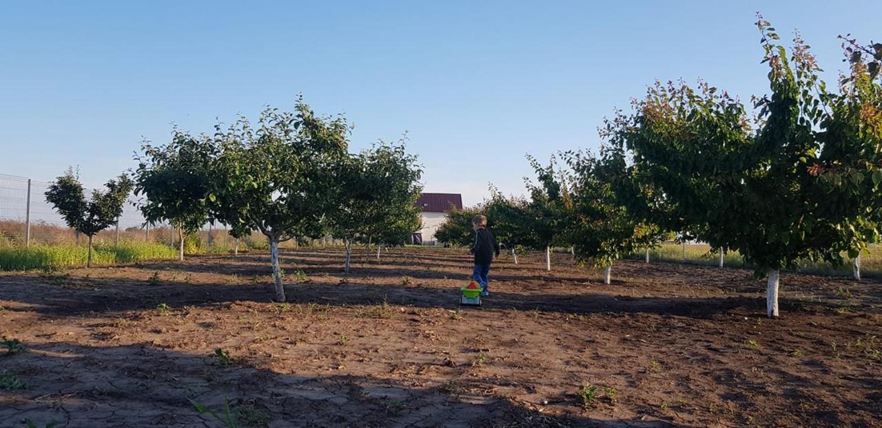 La Matraguna Tuzla Dış mekan fotoğraf